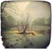 TedOrlandMerced River,#DB7C