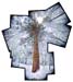 TedOrlandTreeInSnowsto#DB77